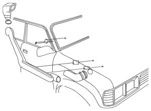 Snorkel Graphic